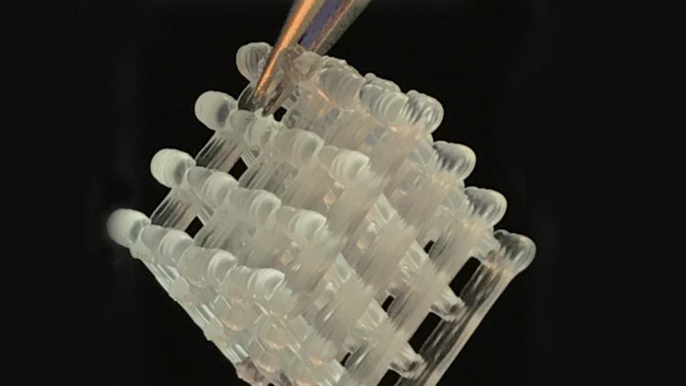 First-of-its-kind hydrogel platform enables on-demand production of medicines and chemicals