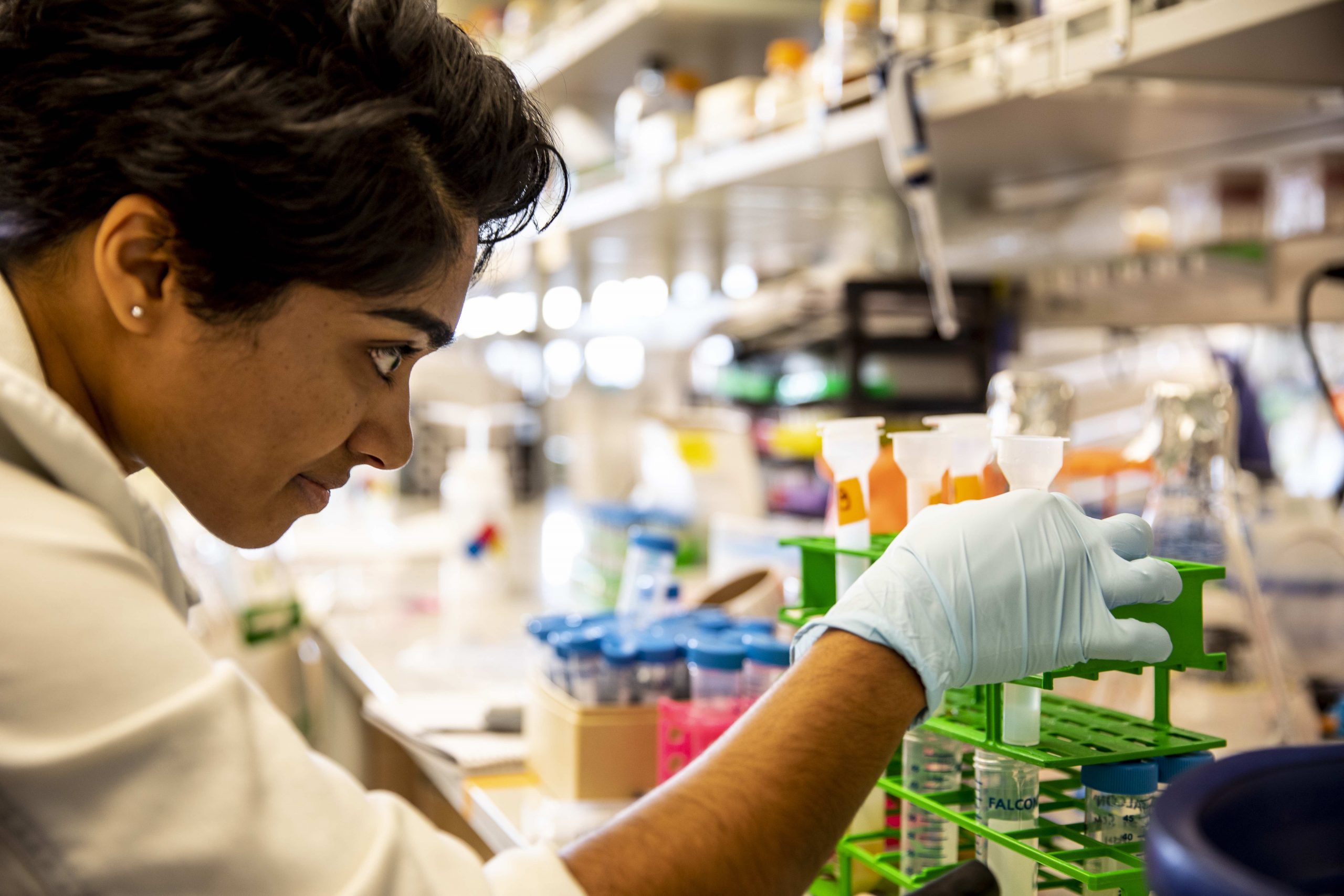 Woman examines conical tubes at lab bench