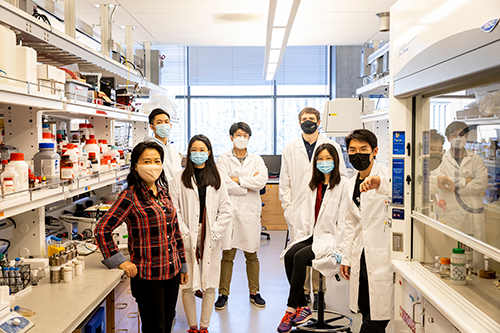 Zhang Lab