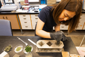 20250625_Green Concrete Roumeli Lab_0120_shrunk