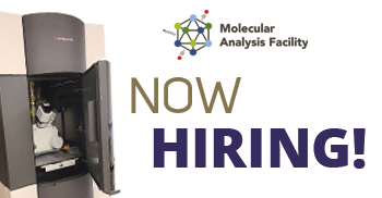 MAF job opening featured image 2